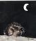 Art: NIGHT TIME HARE h1046 by Artist Dawn Barker