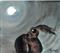 Art: MOONLIGHT HARE  h1050 by Artist Dawn Barker