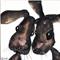 Art: THE BEST OF FRIENDS h1063 by Artist Dawn Barker