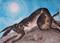 Art: RUNNING HARE h1070 by Artist Dawn Barker