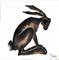 Art: BROWN HARE h1071 by Artist Dawn Barker