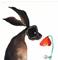 Art: HARE AND POPPY h1086 by Artist Dawn Barker