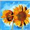 Art: SUNFLOWERS s105 by Artist Dawn Barker