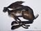 Art: RUNNING HARE h1100 by Artist Dawn Barker