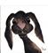 Art: BROWN HARE h1103 by Artist Dawn Barker