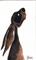 Art: MOONGAZING HARE h1111 by Artist Dawn Barker