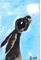 Art: MOONGAZING HARE h1121 by Artist Dawn Barker