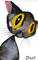 Art: PEBBLES THE CAT c131 by Artist Dawn Barker