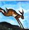 Art: DASHING HARE h1122 by Artist Dawn Barker