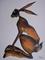 Art: AMBER HARE h1124 by Artist Dawn Barker