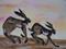 Art: EARLY MORNING HARES h1127 by Artist Dawn Barker