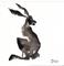 Art: MONOCHROME HARE h1146 by Artist Dawn Barker