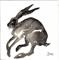 Art: RUNNING  HARE h1152 by Artist Dawn Barker