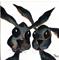Art: MR & MRS HARE h1159 by Artist Dawn Barker