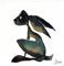 Art: BLUE HARE h1167 by Artist Dawn Barker