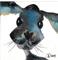 Art: BLUE HARE h1173 by Artist Dawn Barker