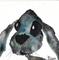 Art: BLUE HARE h1174 by Artist Dawn Barker