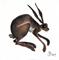 Art: HOPPITY HARE h1188 by Artist Dawn Barker