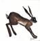 Art: HOPPITY HARE h1189 by Artist Dawn Barker