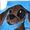 Art: HARE BY MOONLIGHT h1192 by Artist Dawn Barker