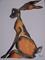 Art: SIENNA HARE h1202 by Artist Dawn Barker