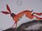 Art: RED HARE h1238 by Artist Dawn Barker