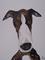 Art: NOSEY GREYHOUND g120 by Artist Dawn Barker