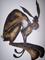 Art: RUNNING HARE h1272 by Artist Dawn Barker