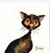 Art: BENNY the CAT  c153 by Artist Dawn Barker