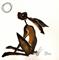Art: MOONGAZING HARE h1297 by Artist Dawn Barker