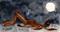 Art: MOONGAZING HARE h1324 by Artist Dawn Barker