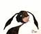 Art: HANDSOME HARE h1332 by Artist Dawn Barker