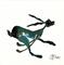 Art: HARE IN A HURRY h1333 by Artist Dawn Barker