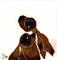 Art: SNUGGLING HARES h1336 by Artist Dawn Barker