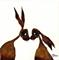 Art: HARES IN LOVE h1341 by Artist Dawn Barker