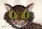 Art: A VERY FURRY CAT c160 by Artist Dawn Barker