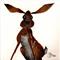 Art: STARTLED HARE h1360 by Artist Dawn Barker