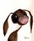 Art: BEAUTIFUL GUY h1365 by Artist Dawn Barker