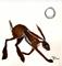 Art: MOONRUNNER h1373 by Artist Dawn Barker