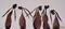 Art: A HARE GATHERING h1423 by Artist Dawn Barker