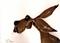 Art: BROWN HARE h1425 by Artist Dawn Barker