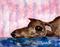 Art: LAZY GREYHOUND g124 by Artist Dawn Barker