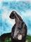 Art: LONELY HARE h1446 by Artist Dawn Barker