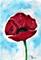 Art: POPPY f101 by Artist Dawn Barker