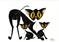 Art: POLLY and LITTLE ONES  by Artist Dawn Barker