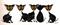 Art: FIVE LITTLE CATS c188 by Artist Dawn Barker