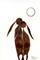 Art: A HARE CUDDLE h1498 by Artist Dawn Barker