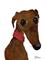 Art: GREYHOUND g141 by Artist Dawn Barker