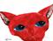 Art: RED CAT c190 by Artist Dawn Barker