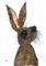 Art: BAD HARE DAY h2348 by Artist Dawn Barker